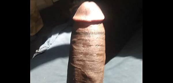  Big Dicks Love Sunny Days